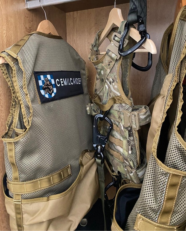 Canine training vest