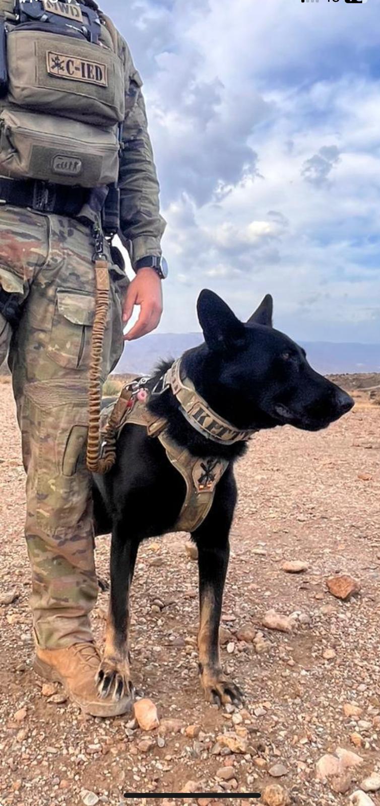 Tactical leashes / long lines
